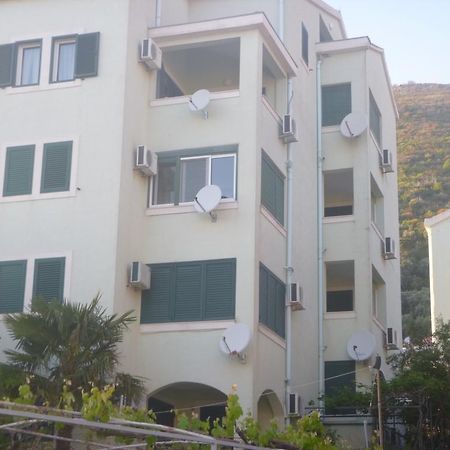 Apartman Ozi Petrovac Bagian luar foto
