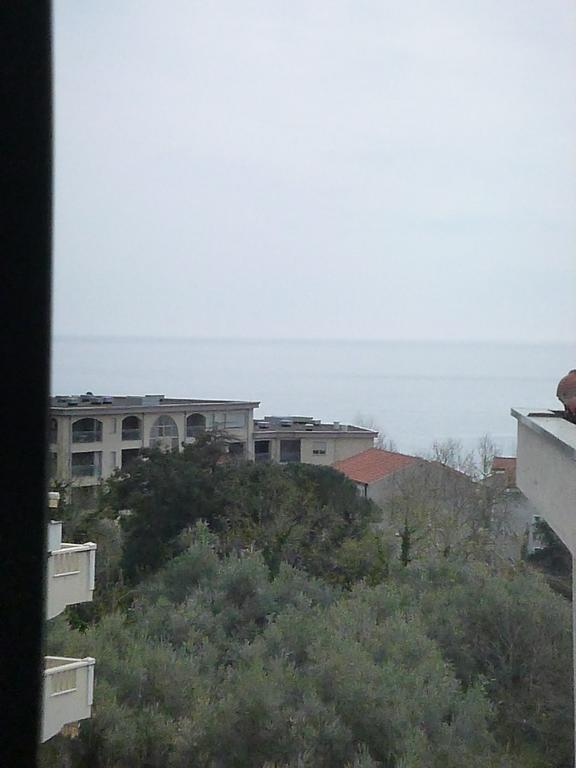 Apartman Ozi Petrovac Bagian luar foto