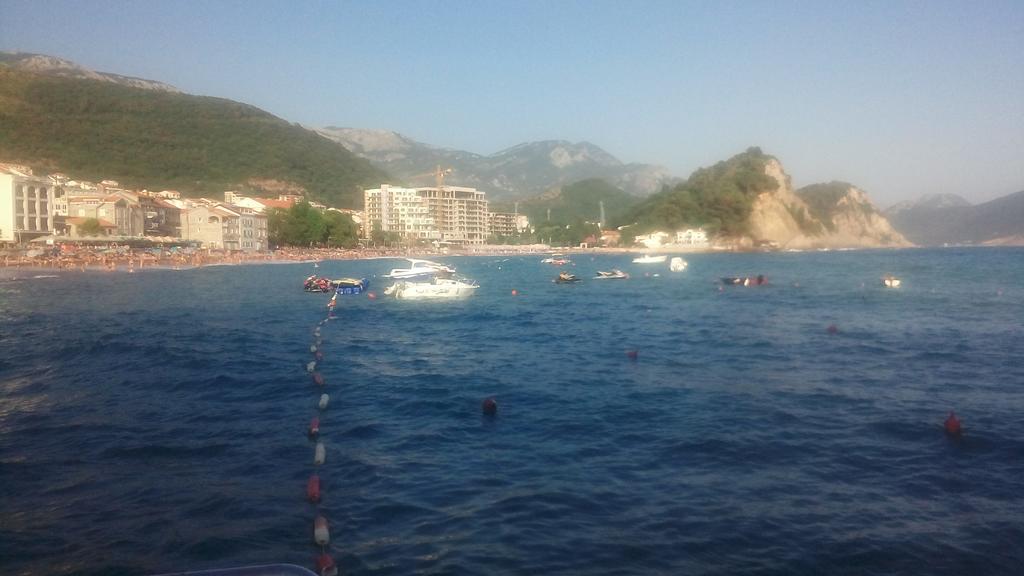 Apartman Ozi Petrovac Bagian luar foto