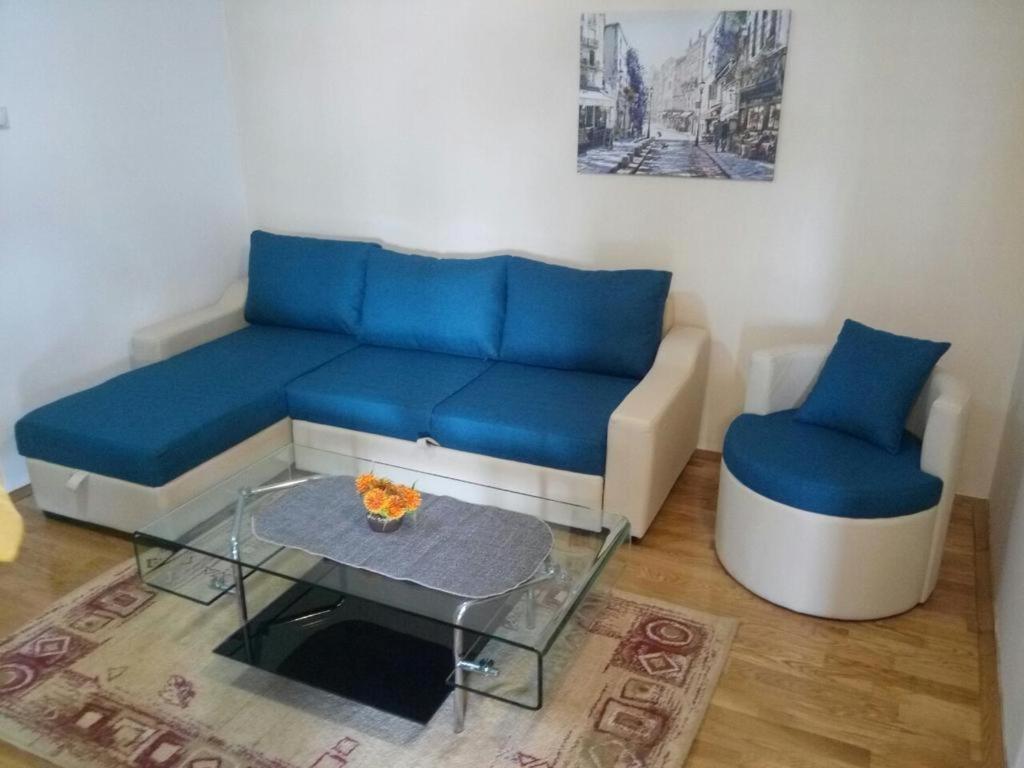 Apartman Ozi Petrovac Bagian luar foto